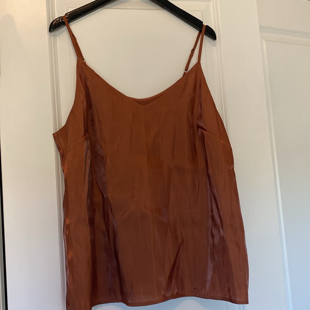 NWT shimmery blouse